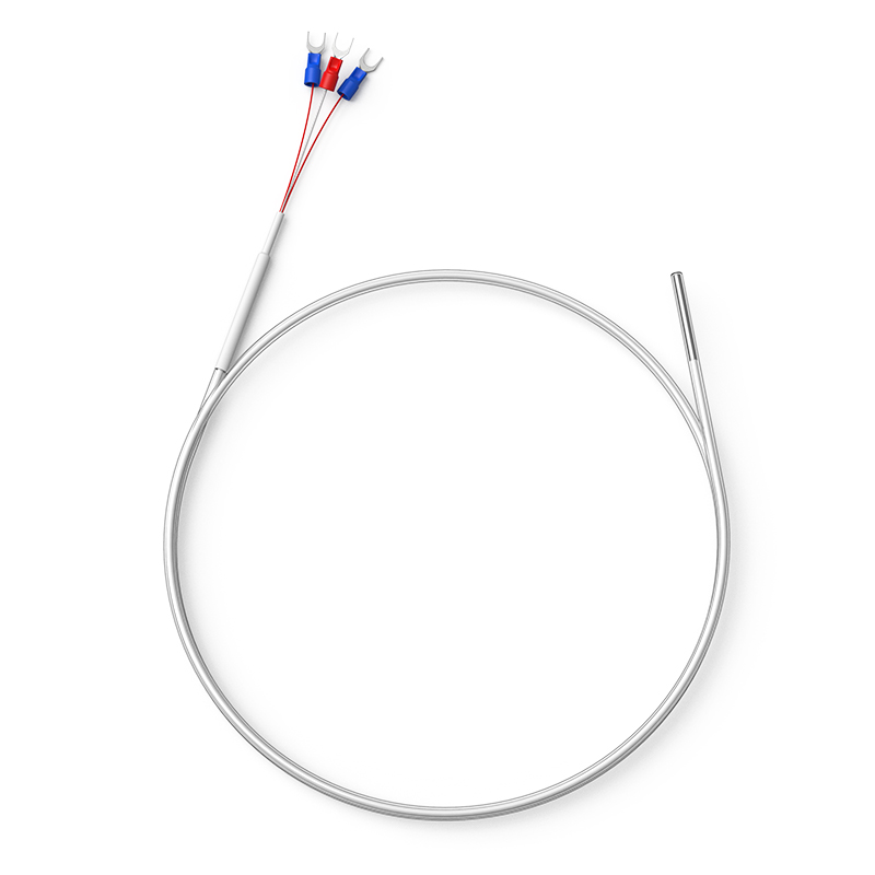 鐵氟龍熱電阻12_http://www.xpnqm.cn_溫度儀表_第1張